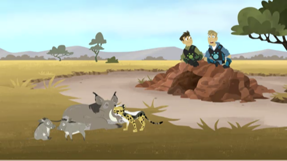 Cheetah Adopted | Wild Kratts Wiki | Fandom