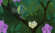 Hummingbird Wild Kratts.41.png (285 KB) The hummingbird eggs have just hatched