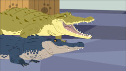 Crocogator Contest, Wild Kratts Wiki