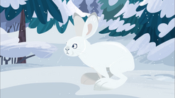 Snowshoe Hare