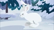 Avalanche.png (1.5 MB) The snowshoe hare Martin will name Avalanche