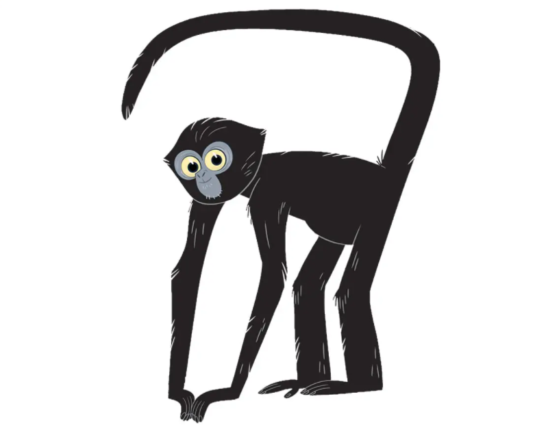 spider monkey cartoon