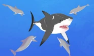 The dolphin pod is scaring away the shark to defend Martin and especially Whistle from it.