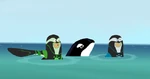 This Orca Likes Sharks