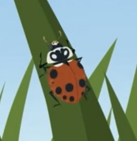 Animated