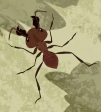 Leafcutter Ant | Wild Kratts Wiki | Fandom