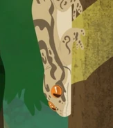 Turnip-tailed Gecko (Thecadactylus rapicauda)