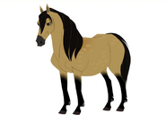 Wild pony (Equus ferus caballus)