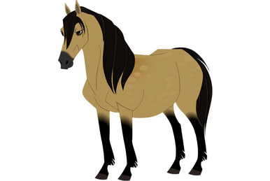 Wild kratts wild ponies full episode hotsell