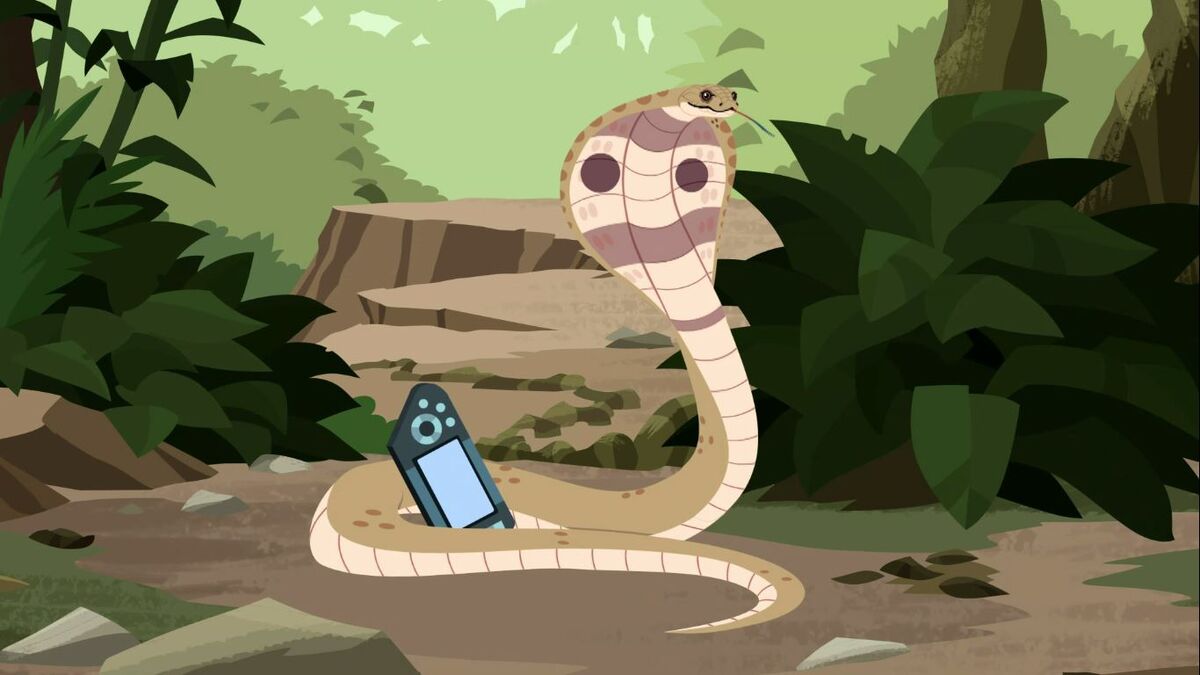 Wild kratts king cobra top full episode