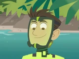 Bugs or Monkeys?/Gallery
