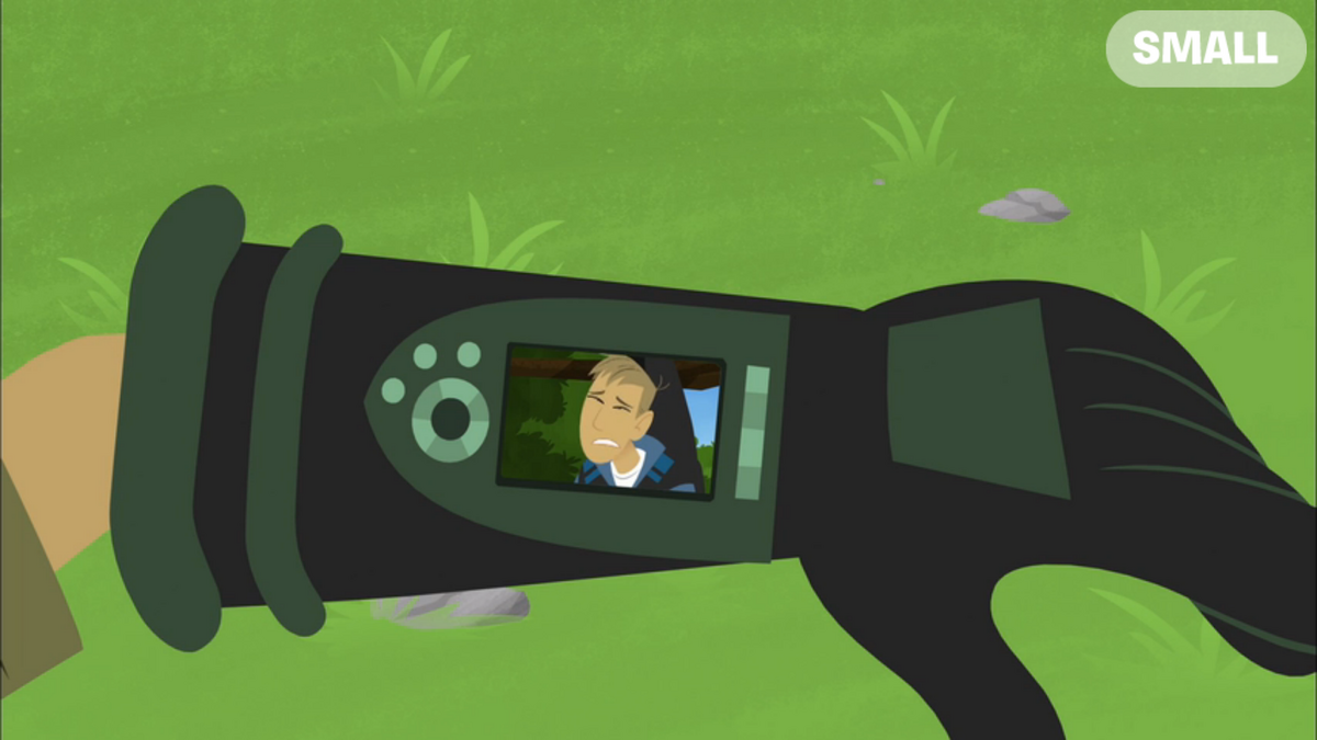 Creature Pod/Gallery | Wild Kratts Wiki | Fandom