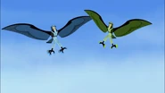Chris is able to fly again now!