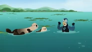 Sea Otter Power | Wild Kratts Wiki | Fandom