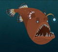 Humpback Anglerfish.png (143 KB) Humpback Anglerfish