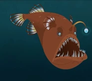 Humpback Anglerfish (Melanocetus johnsonii)