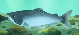Animation (normal)