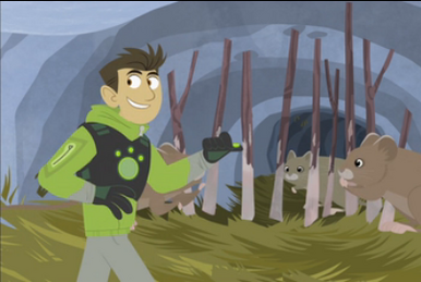 Choose Your Swordfish Wild Kratts Wiki Fandom
