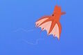 Vampire Squid.jpg (8 KB) Vampire Squid