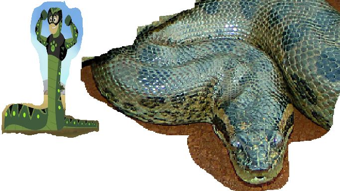 Boa Constrictor, Wild Kratts Wiki