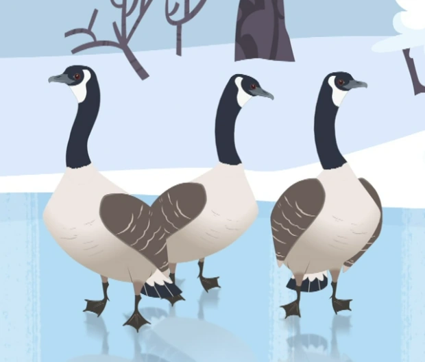 Canada goose viladomat youtube top