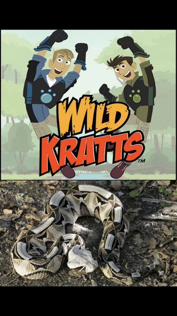 Viper attack-wild kratts | Wild Kratts Fanon Wiki | Fandom