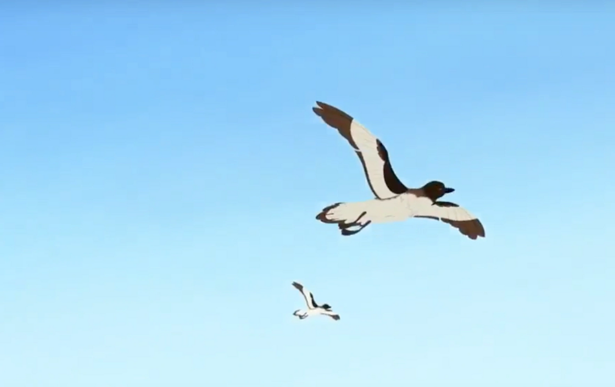 Wild Kratts-petral power flight | Wild Kratts Fanon Wiki | Fandom
