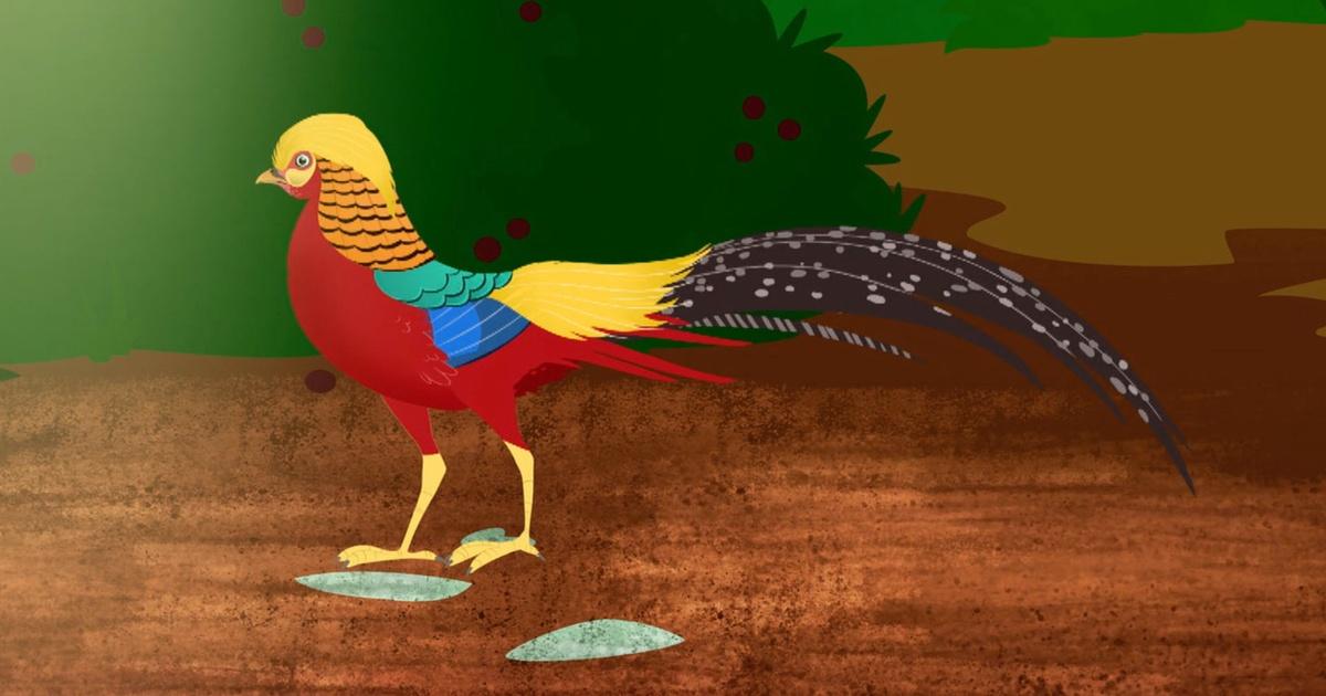 Golden pheasant rescue-Wild Kratts | Wild Kratts Fanon Wiki | Fandom