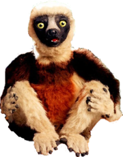 Zoboomafoo and you-a happy lemur day celebration | Wild Kratts Fanon