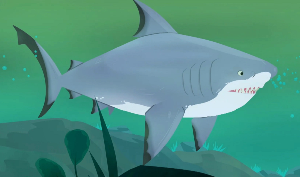 Ferdinand the Bull shark-new Wild Kratts | Wild Kratts Fanon Wiki | Fandom