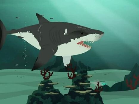 Razormouth-shark | Wild Kratts Fanon Wiki | Fandom