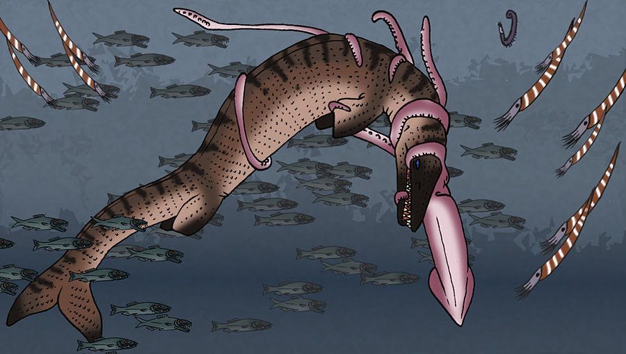 A Giant of a squid-Jurassic Kratts Sea Adventures | Wild Kratts Fanon