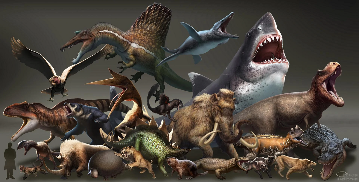 Wild kratts top dinosaur full episode