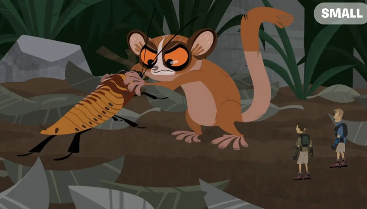 Mouse lemur soupWild Kratts Wild Kratts Fanon Wiki Fandom