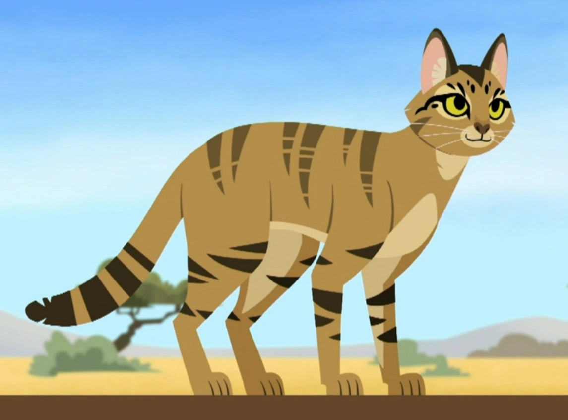 Wildcat power-wild kratts preview | Wild Kratts Fanon Wiki | Fandom