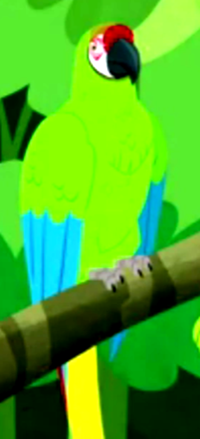 Parrots | Wild Kratts Fanon Wiki | Fandom