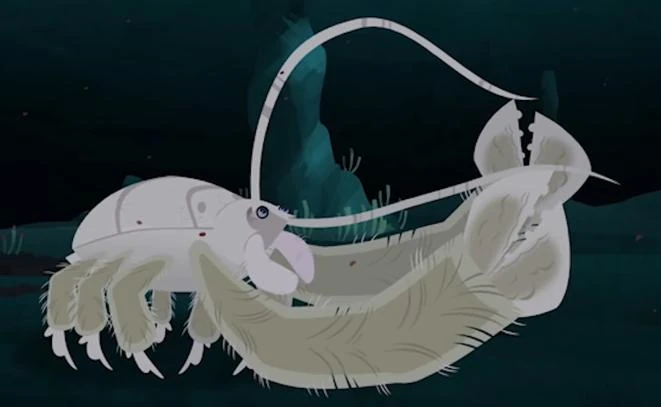 Wild kratts-seasquatch preview | Wild Kratts Fanon Wiki | Fandom