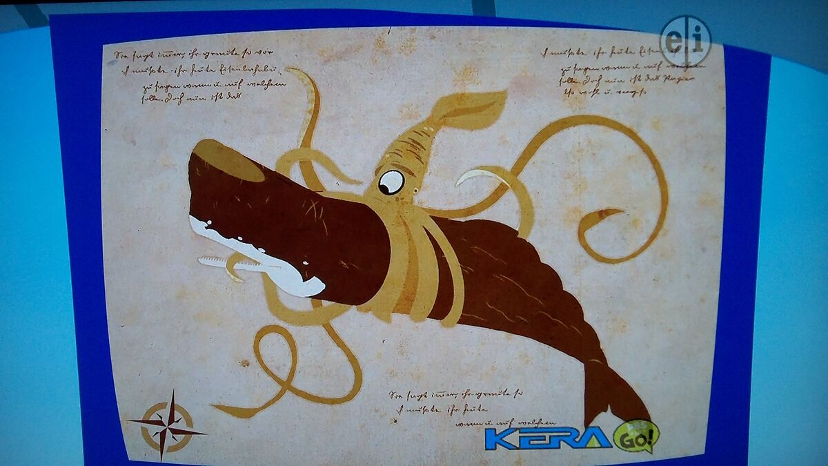 Wild kratts whale of cheap a squid full episode