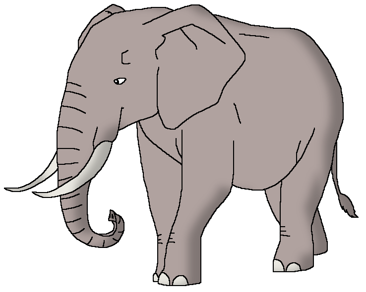 African Bush Elephant | Wildlife Animal Pedia Wiki | Fandom