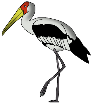 Premium Vector | Stork sketch vector illustration hand sketching a stork  for a design