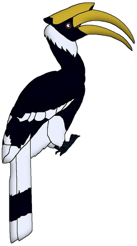 Great Hornbill | Wildlife Animal Pedia Wiki | Fandom