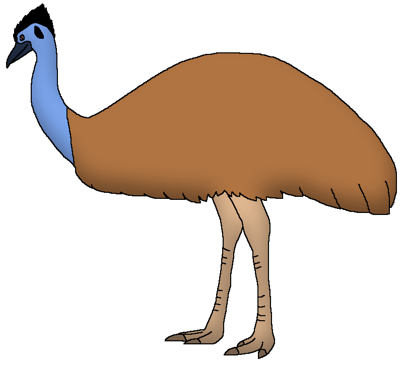 three feathers emu