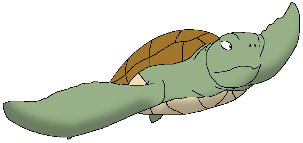 The Turtles - Wikipedia