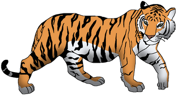 The U of M's tiger mascot TOM dies at age 12 - Memphis Local