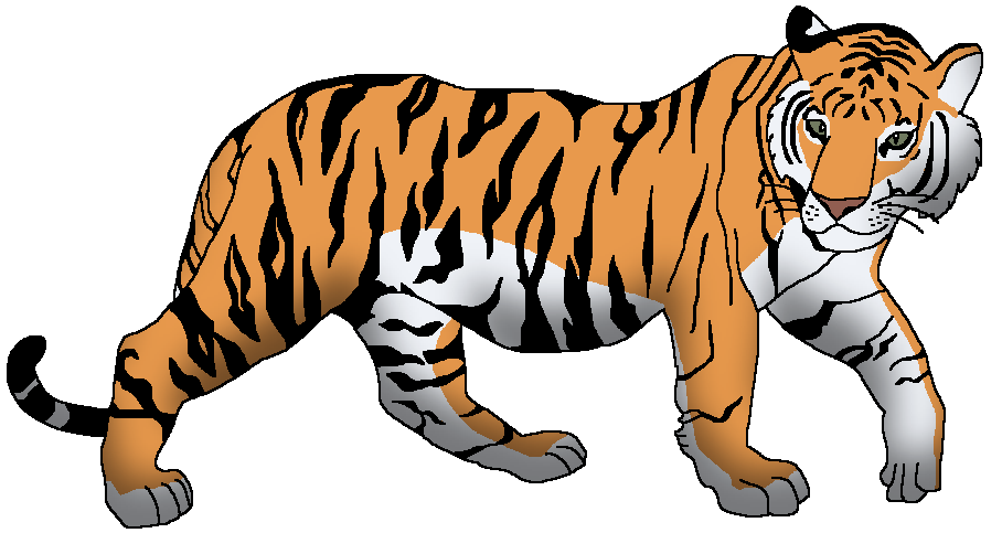 Bengal tiger - Wikipedia