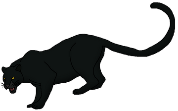 Black pumas wikipedia on sale