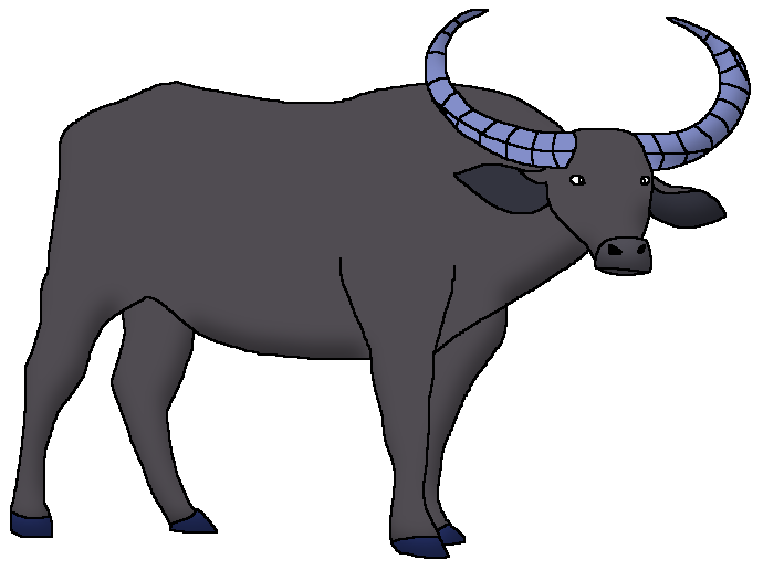 Wild Water Buffalo | Wildlife Animal Pedia Wiki | Fandom