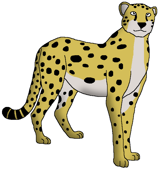 Tanzanian Cheetah | Wildlife Animal Pedia Wiki | Fandom