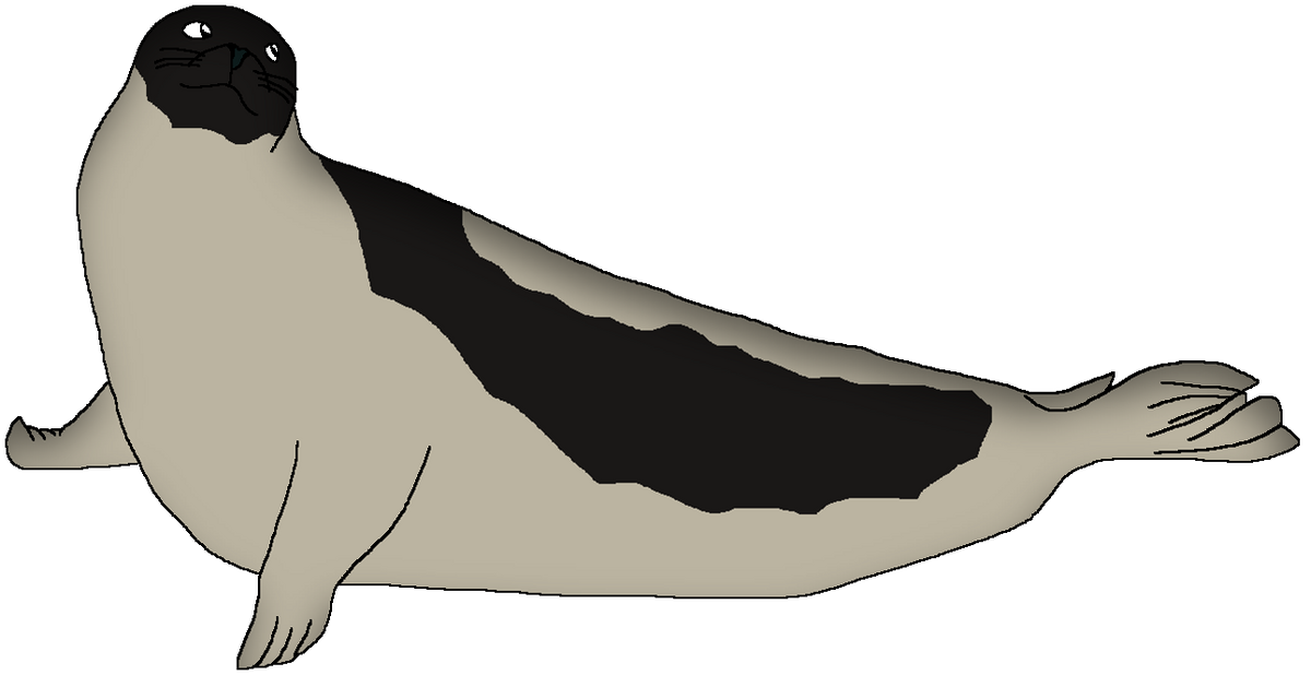 Harp Seal Wildlife Animal Pedia Wiki Fandom