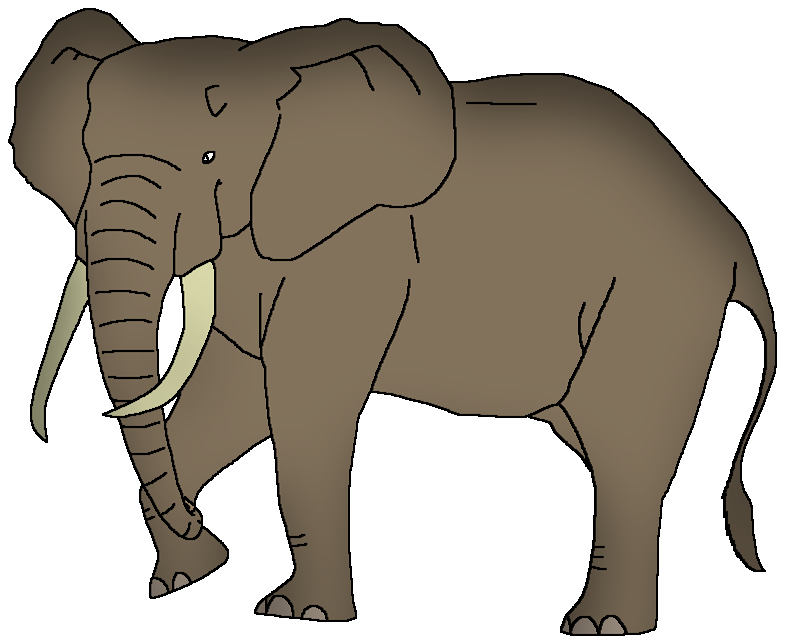 African Forest Elephant | Wildlife Animal Pedia Wiki | Fandom